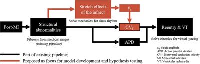 Strain-controlled electrophysiological wave propagation alters in silico scar-based substrate for ventricular tachycardia